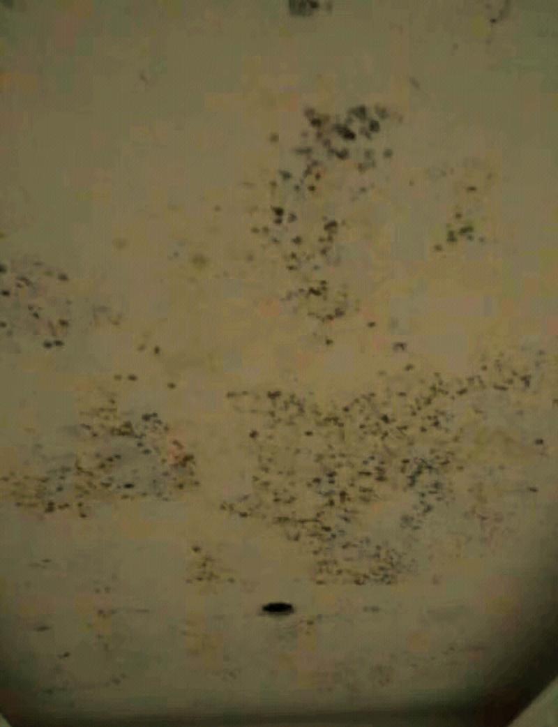 装修开裂发霉劣质硅酸钙板吊顶实拍