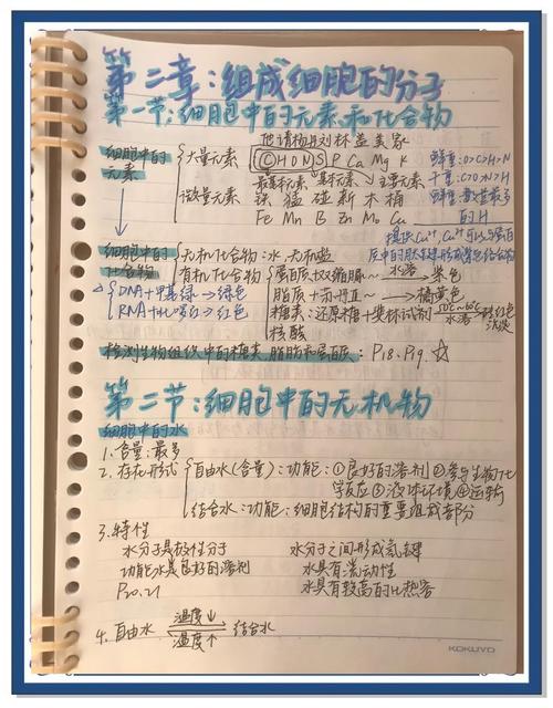 高中生物细胞结构手绘笔记