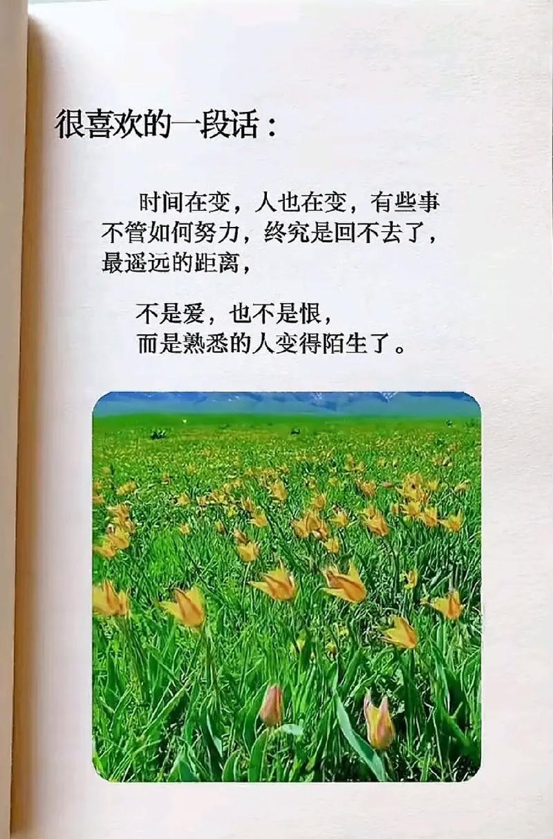 挂接与选型:很多人选错了形式,用起来才后悔