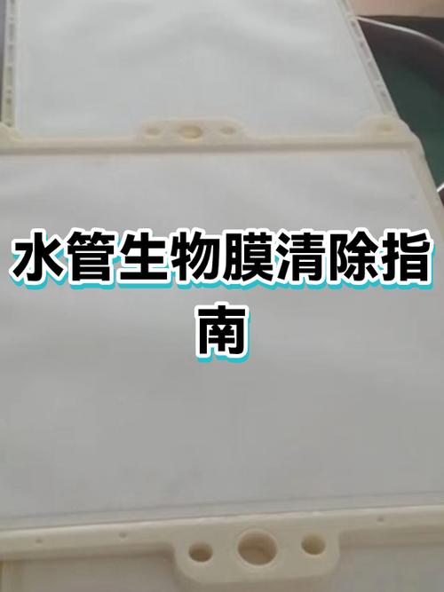 工业纯水循环管路死角生物膜特写