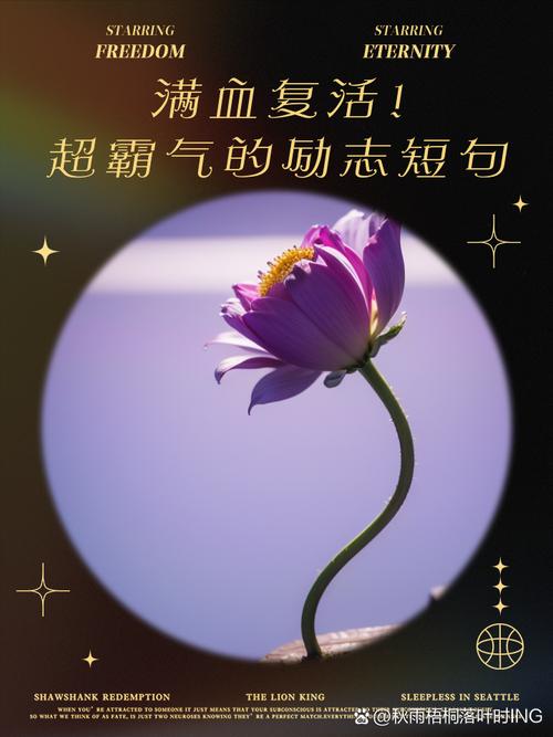 你不需要强行“满血复活”