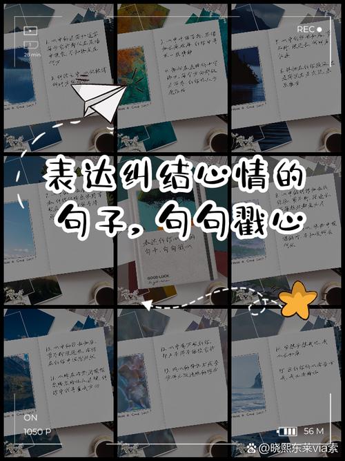 那些让人纠结的私心话