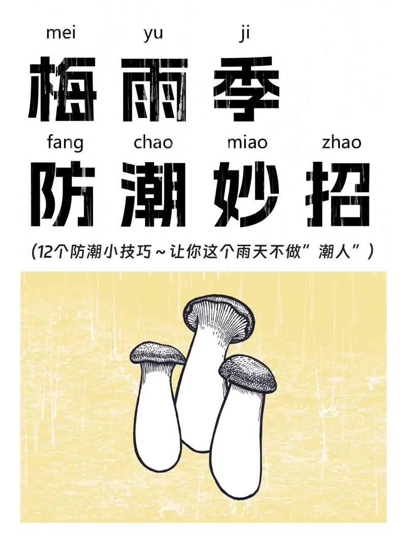 遇上回南天、梅雨季?别头铁,停工保平安
