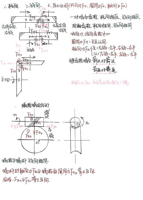 正交锥齿轮轴向力方向判断示意图