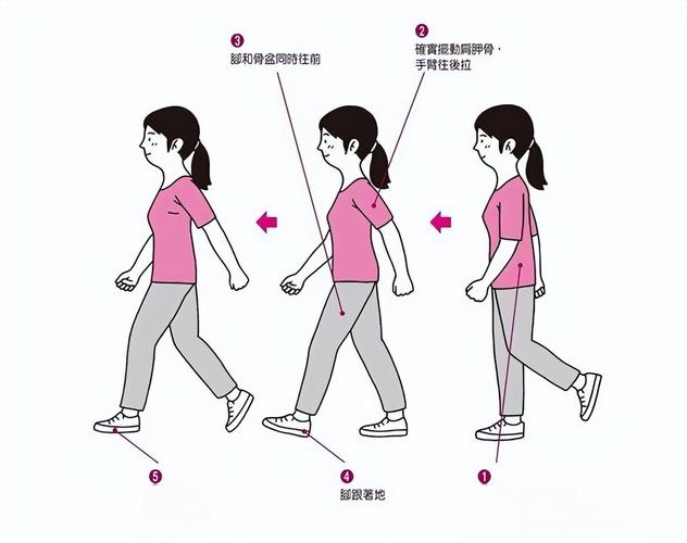正确步行锻炼姿势对比示意图