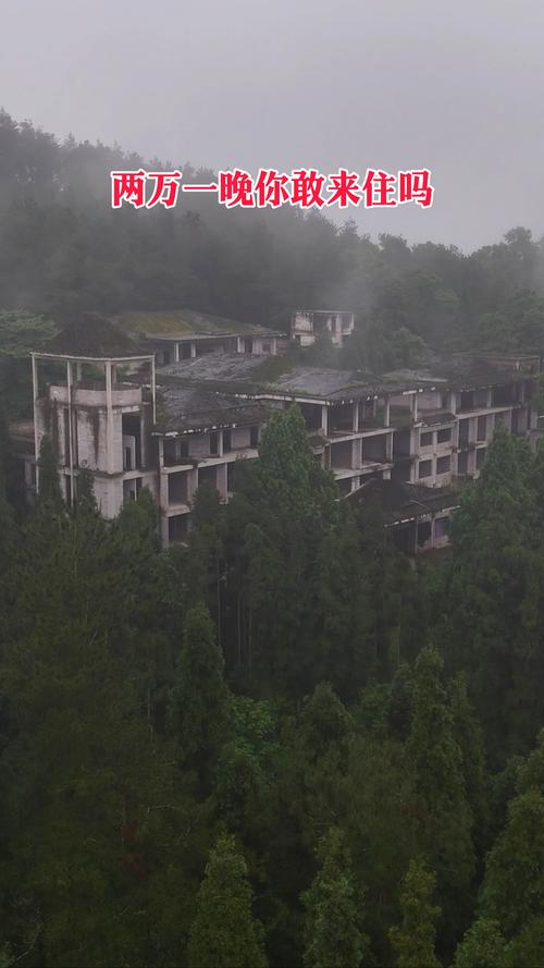 基诺山 绞杀榕 废墟砖楼