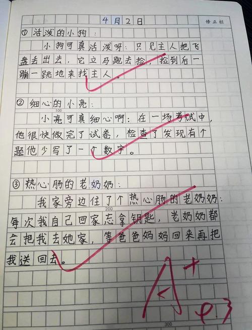 小学语文周记冒号错误改批实拍
