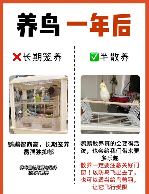 这些笼养的坑，我劝你别踩
