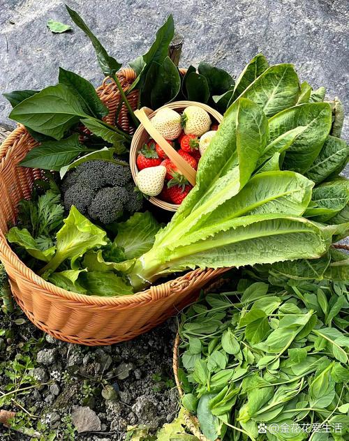 蔬菜：水灵不等于新鲜