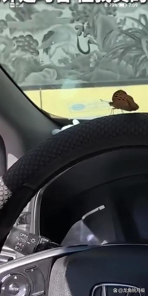 除了开车,它早就钻进了你生活的缝隙里