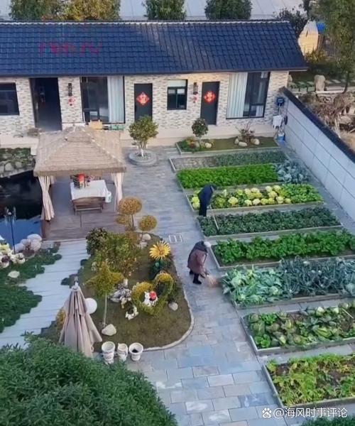 老城区居民家小院里老人打理应季蔬菜的日常场景