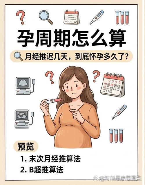 记满4周，规律自己就跳出来了