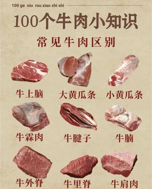 对比牛肉与蔬菜碳足迹的图表