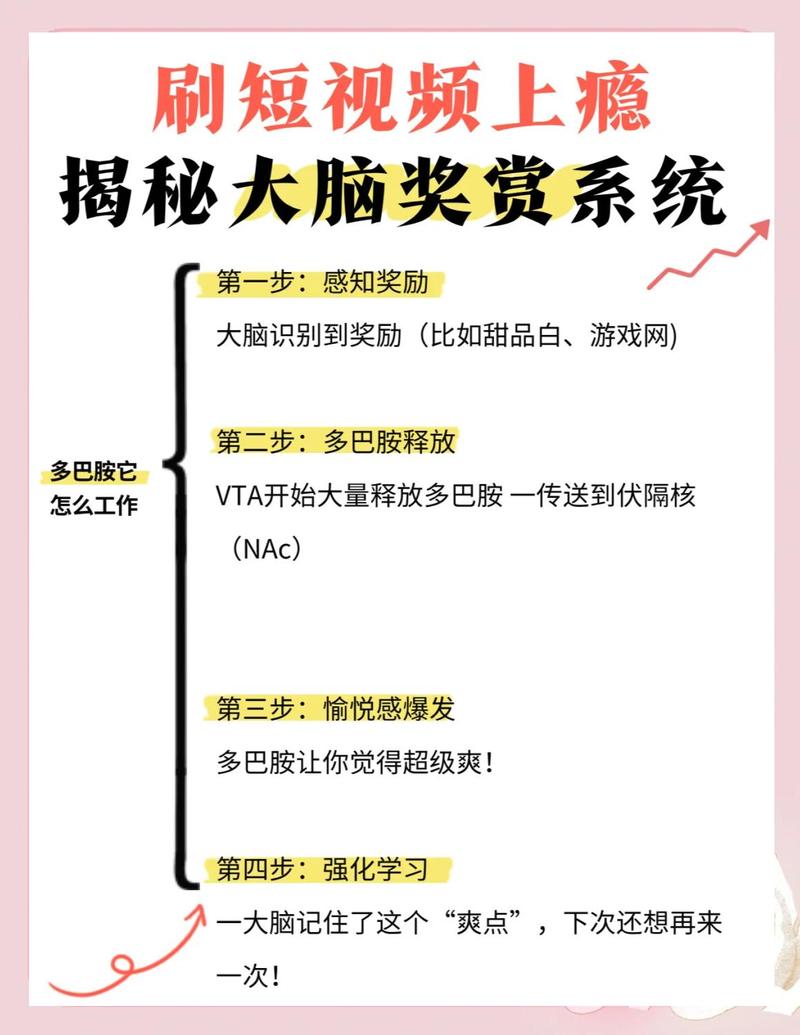 刷短视频时人脑多巴胺即时奖励回路示意图