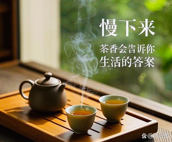 老茶客的笨办法：一杯好茶，香气会说话