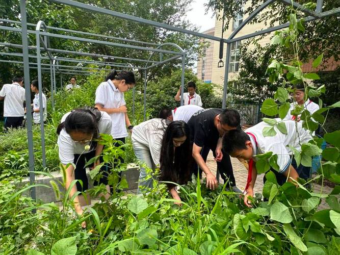 工业遗址改造的自然教育营地孩子观察植物