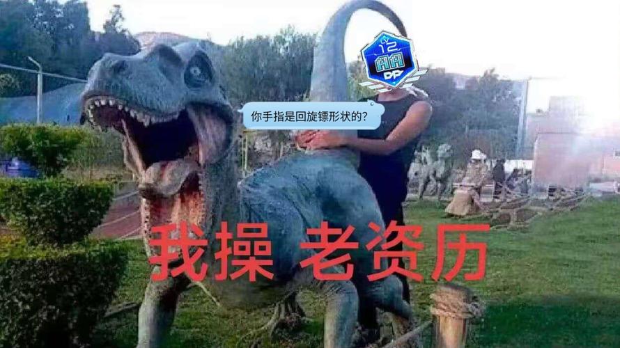 老伙计从来没被淘汰过