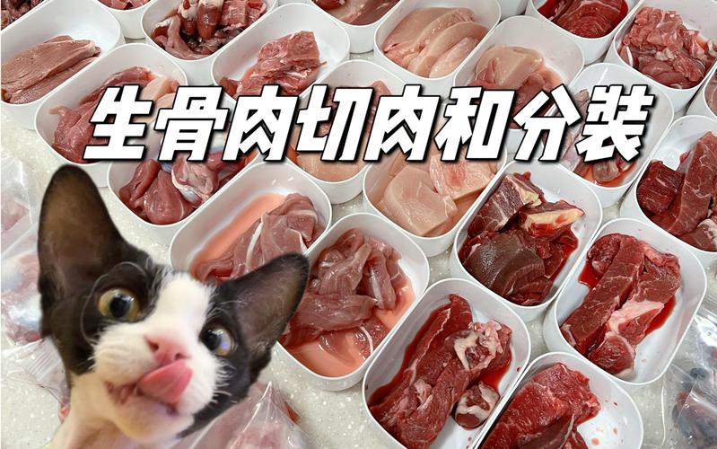 新手猫生骨肉切块分装特写