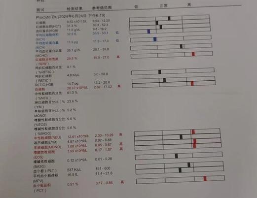 猫咪配种前传染病体检报告单