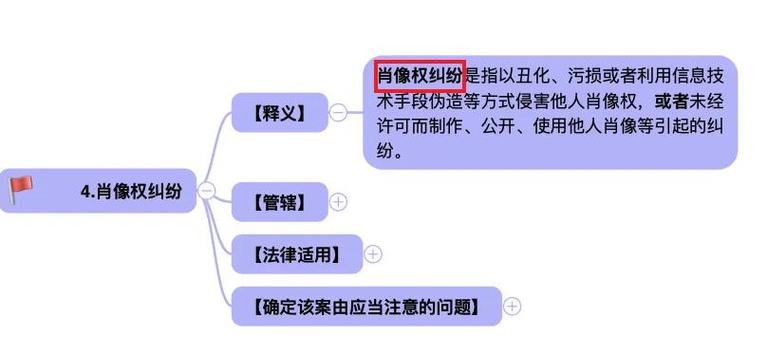 常见肖像权商业侵权纠纷案例示意图