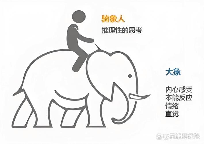 大象与骑象人比喻沟通说服的情绪决策图