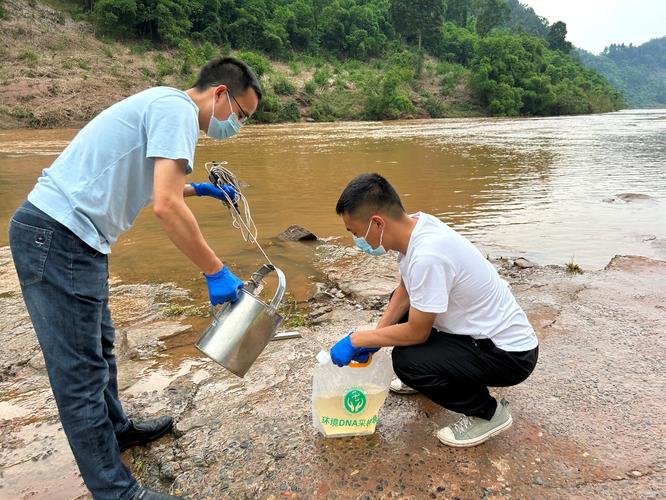 亚热带河流环境DNA样本采集现场