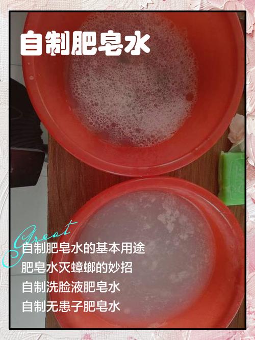 肥皂水大法?但千万别浇土里!