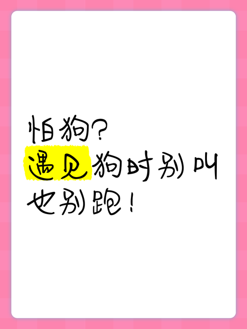 真遇到狗要扑你：别跑，也别瞪眼睛