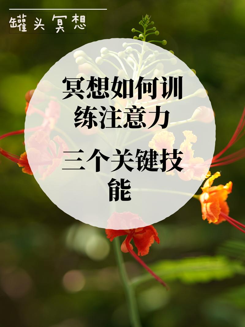 别等「准备好了再开始」,练技能的核心是找反馈