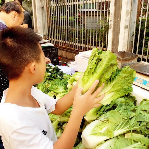 菜市场小孩帮妈妈看菜摊实拍
