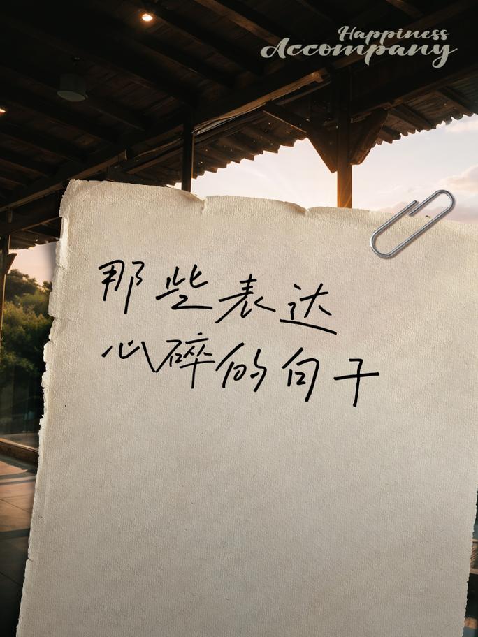 写在中间的碎碎念