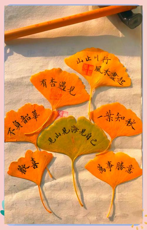 文人笔下的银杏，总带着点倔强