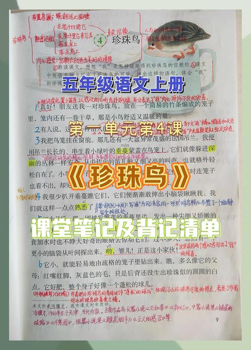 小学语文课堂学生角色扮演《珍珠鸟》教学场景