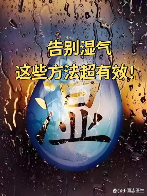 日常散潮:主动降湿比被动补漏省心多了
