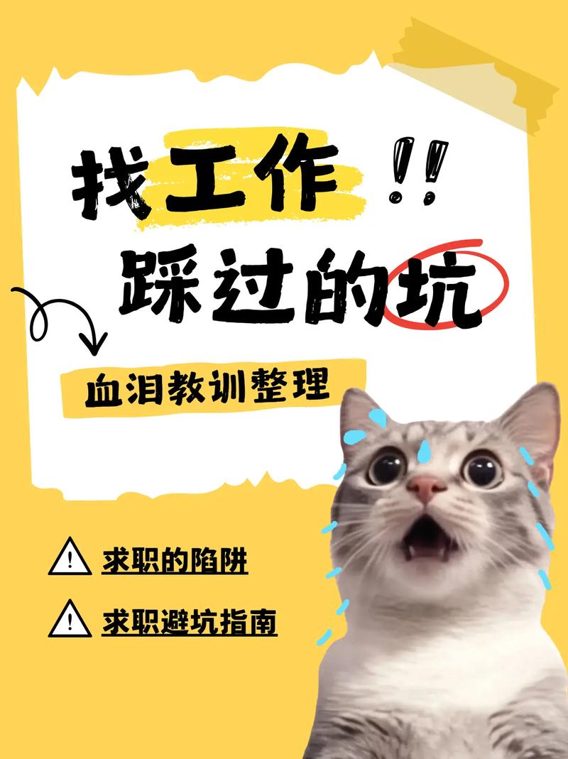 我踩过的坑:过度关注排名和盲目刷题
