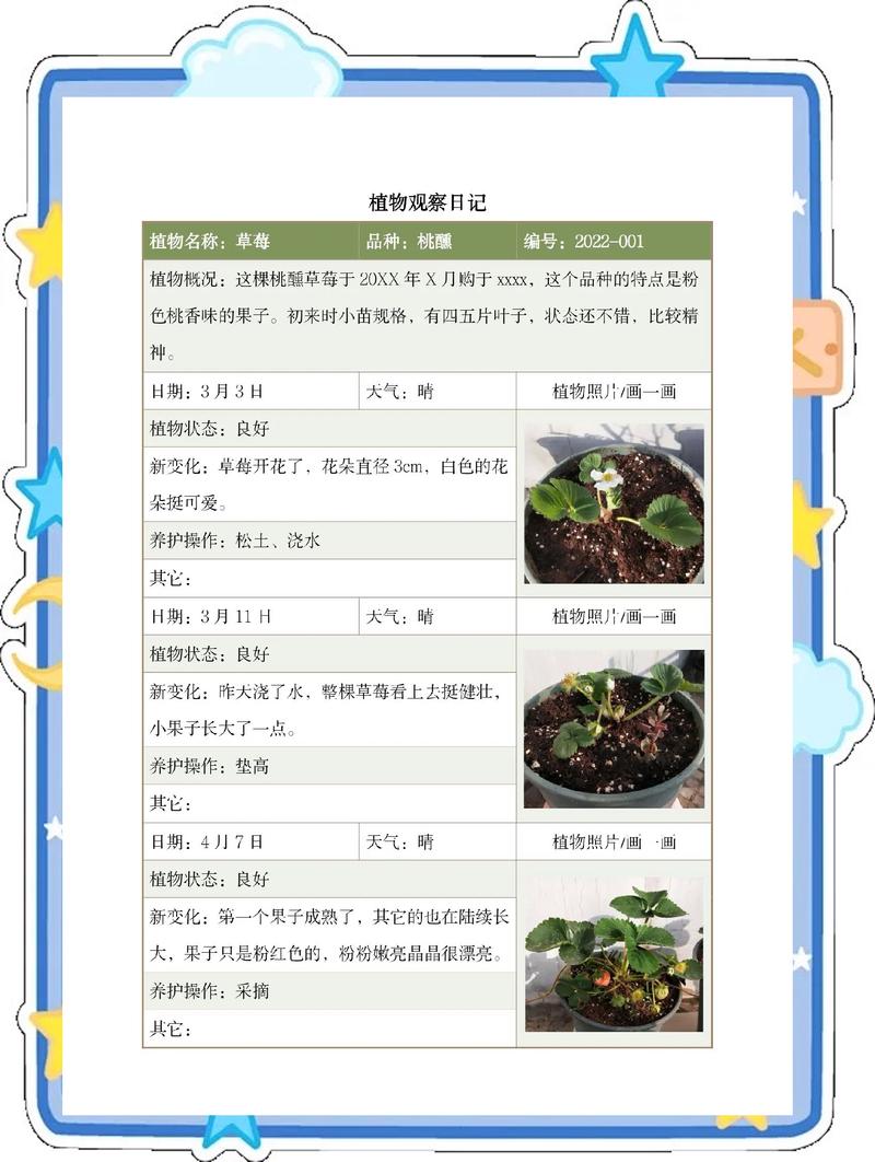 孩子观察植物生长记录笔记本