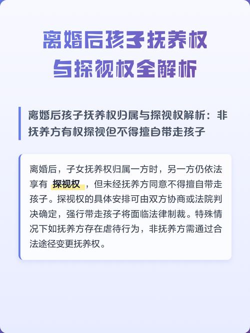 离婚探视权纠纷利益链条示意图