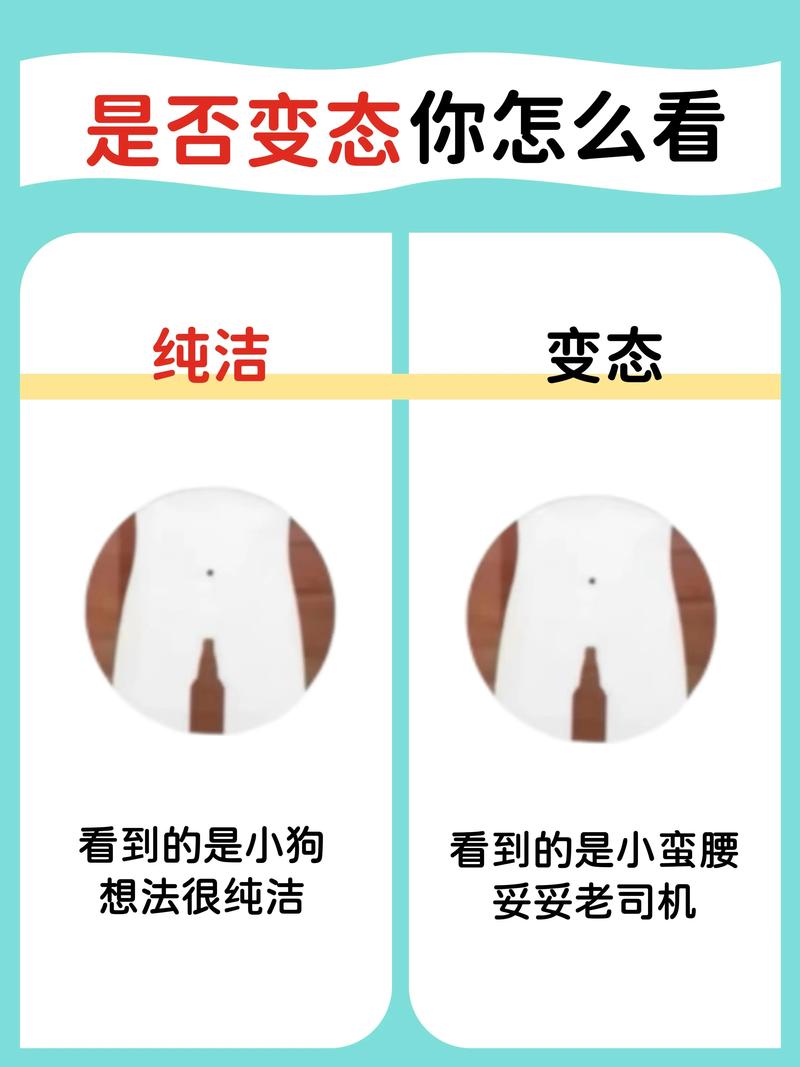 怎么选?看你的情况对号入座