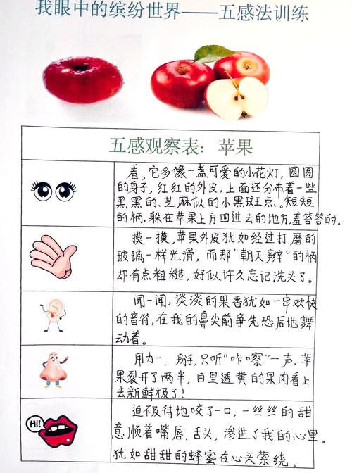 五、一点吐槽和观察