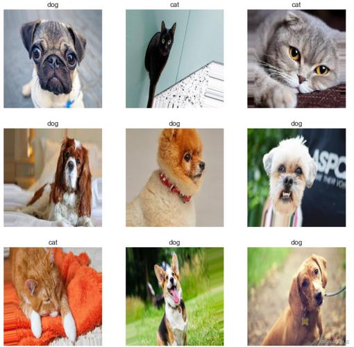 人工智能图像识别猫狗对比特征图