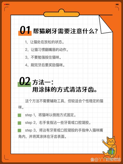 家庭养犬猫正确刷牙手势示范图