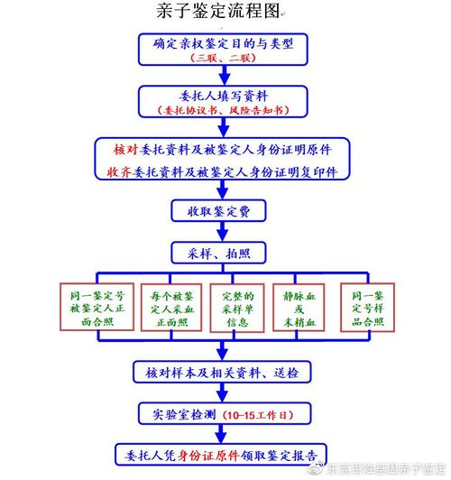 法院委托亲子鉴定流程步骤图