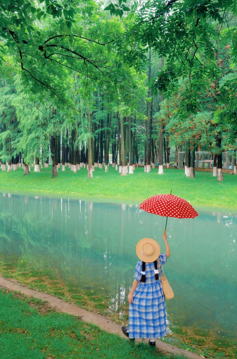 雨天景点创意打卡自拍