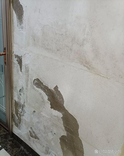 劣质地固涂膜龟裂起壳脱落特写
