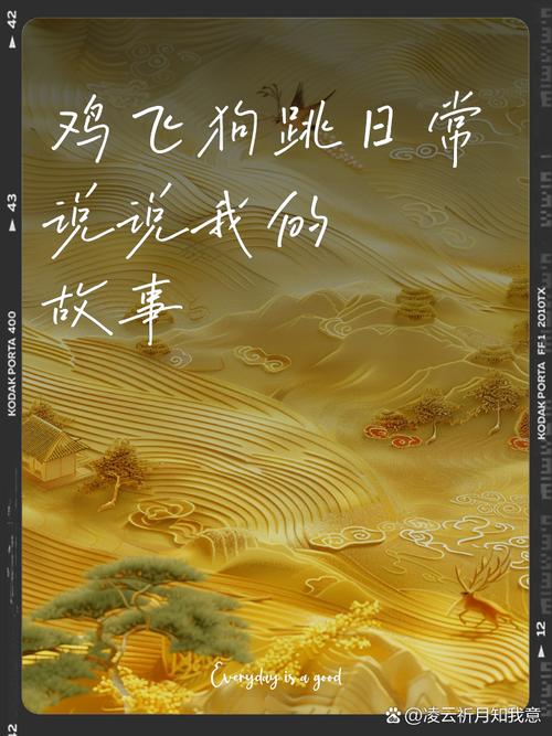 一个真实的故事：从鸡飞狗跳到岁月静好