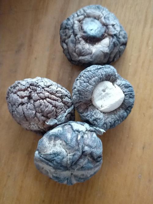 厨房翻出的发霉干香菇