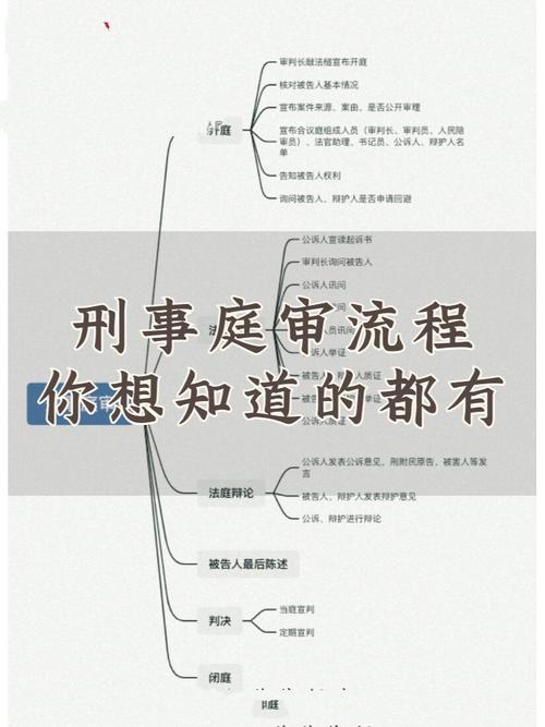 天津法院刑事无罪辩护庭审流程示意图