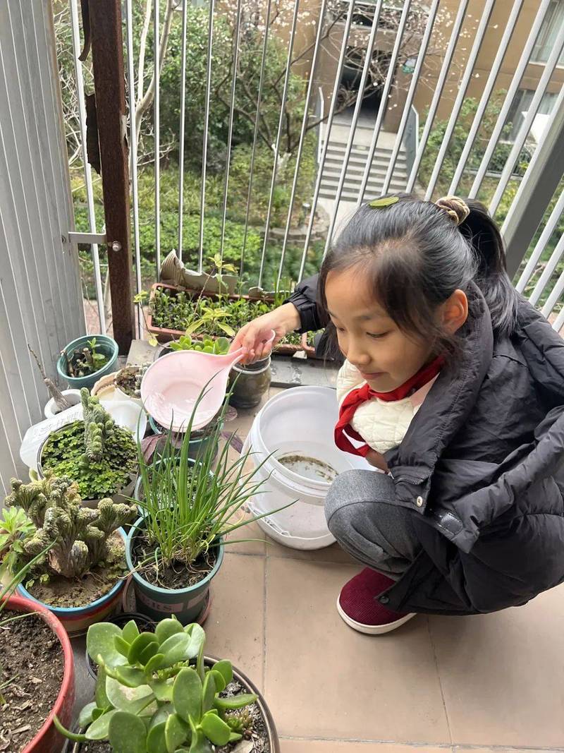 孩子在阳台用小盆栽观察植物生长