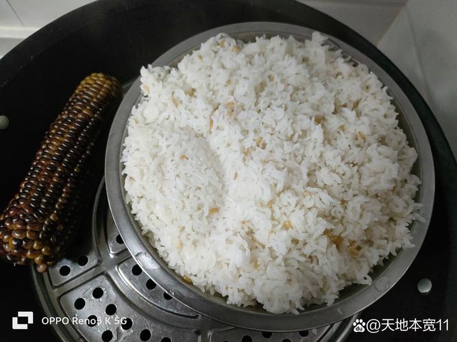 刚出锅的东巩寨子米白米饭