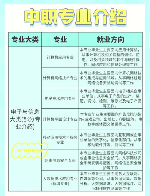 各主体专业信息解析